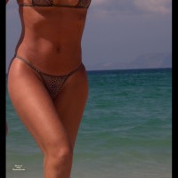 Our Hollidays