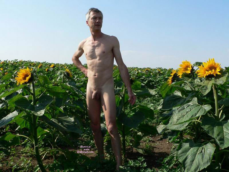 Pic #1M* Pour Vous Remercier