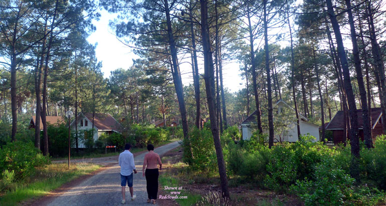 Pic #1Tour De France 2009 RC-Version