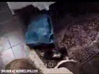 Pic #1My Art Of BlowJobs