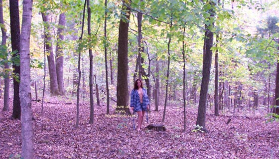 Pic #1Eye, Fall Is Here