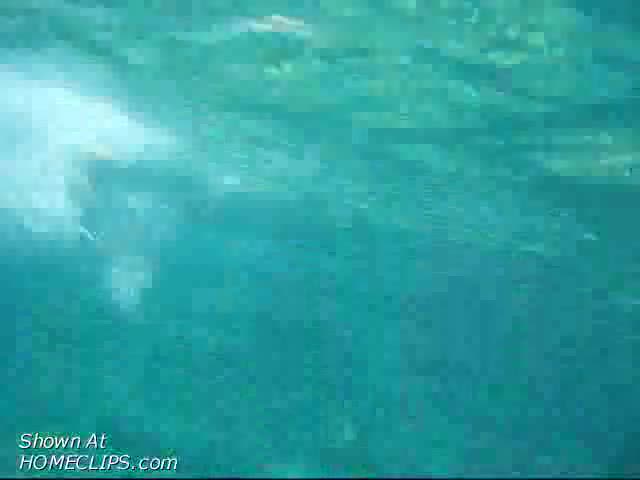 Pic #1*SS Underwater