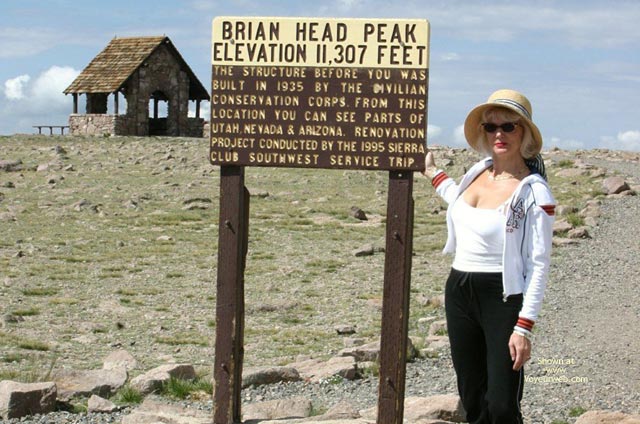 Pic #1Tree States Vista