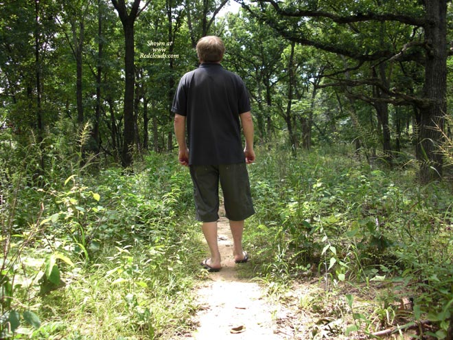 Pic #1M* Walk In The Woods
