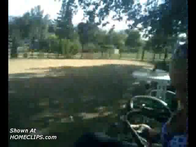 Pic #1At The Dog Park