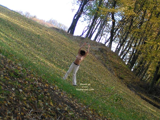 Pic #1Last Sunny Days