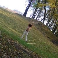Pic #1 Last Sunny Days