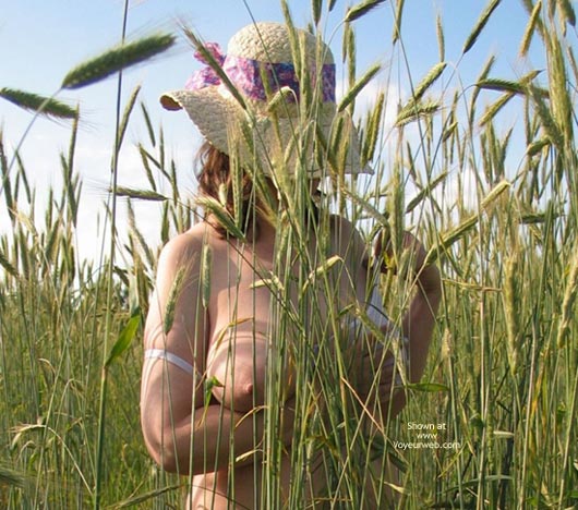 Pic #1Crean 'N Wheat