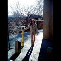 *Co Mg'S Cold Walk Through The Park