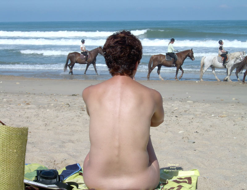 Pic #1*PL Sea Sex Sun And Horses
