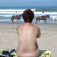 Pic #1*PL Sea Sex Sun And Horses