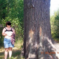 Pic #1 Belle Journ&eacute;e Ensoleill&eacute;e