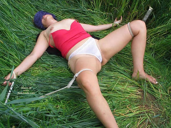 Pic #1Oat Field Story