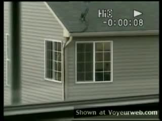 Pic #1Nice Neighbor Part 2