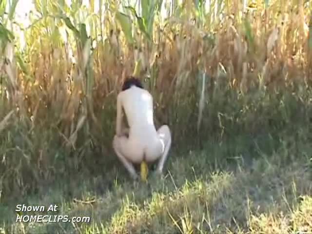 Pic #1*OF In The Corn Field