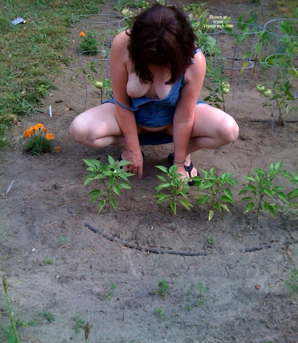 Pic #1 Skylar's Garden