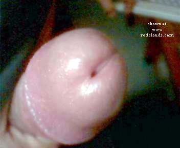 Pic #1Marcia &amp;Tom 0004