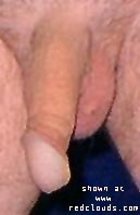 Pic #1M* Takes Two To Tango