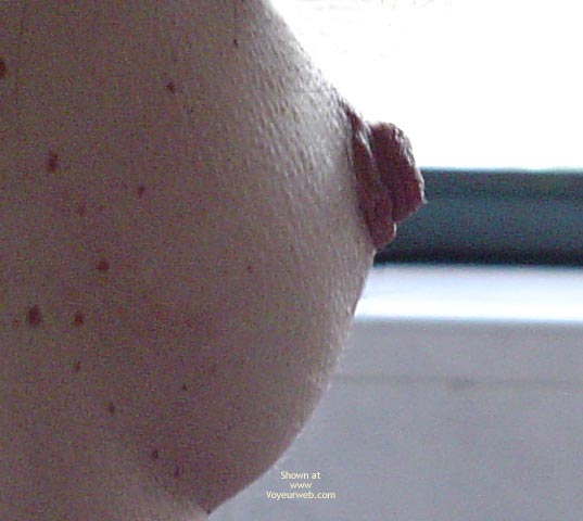 Pic #1Verawild Pieces Of Me The Best Of 2004
