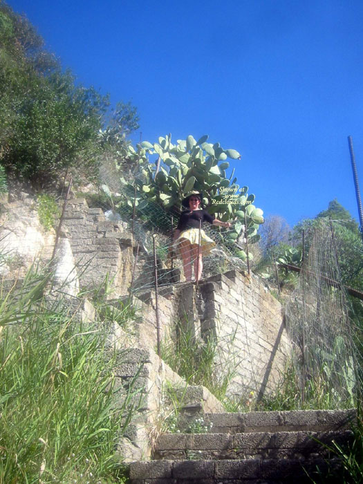 Pic #1Sex On The Beach In Italy