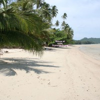 Pic #1 Lonely Young Girl
