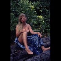 Jungle Tits