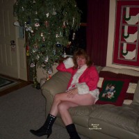 Pic #1 Christmas Tree