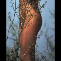 Pic #1*Sr Pam 69 - Four More Pics