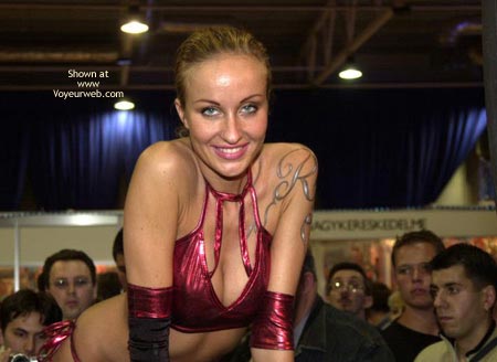 Pic #1The Stripper And Her Fans