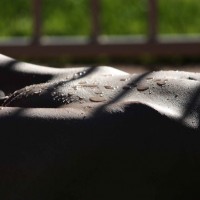 Nude At A Friend's Pool # 1