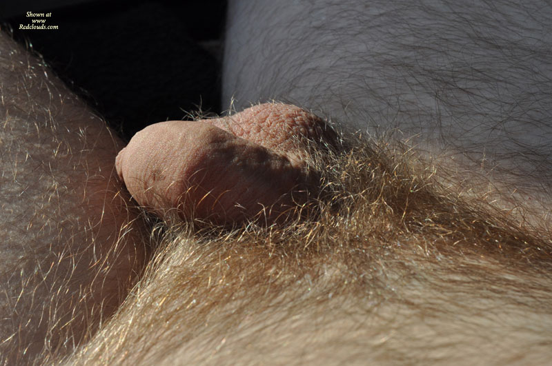 Pic #1M* Morning Sun