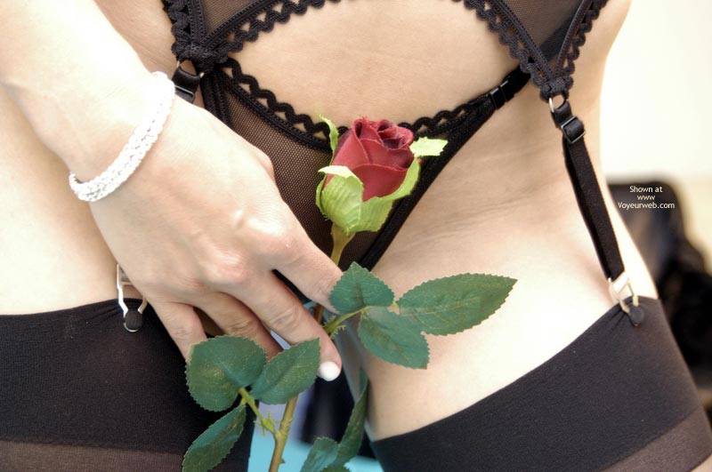 Black Lingerie - Sexy Lingerie , Black Lingerie, Garters And Hose, Rose Petal Lips