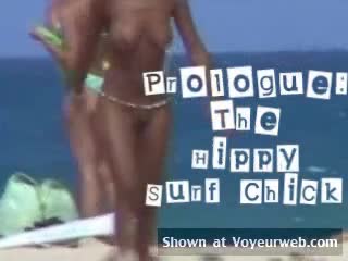 Pic #1Sandfly Tellin&#39; Stories