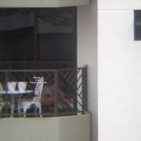 Pic #1 Street Voyeur:&nbsp;Woman In Pants - Voyeur