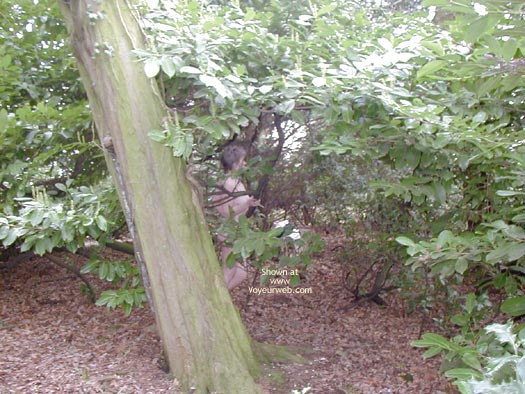 Pic #1Naughty But Nice 2