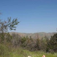 Pic #1M* A Day In The Sun