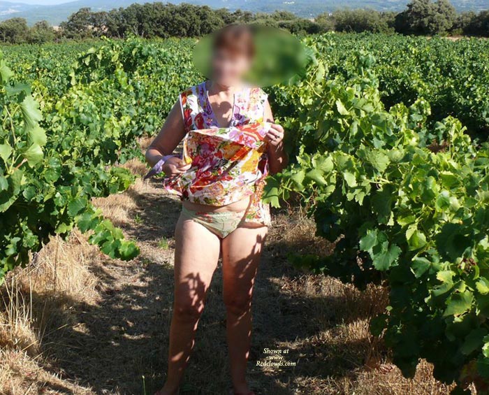 Pic #1Fred In A Vineyard