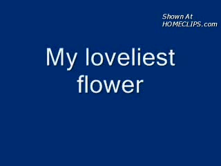 Pic #1Loveliest Flower Of All