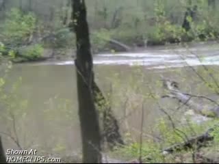 Pic #1Quickie In The Woods