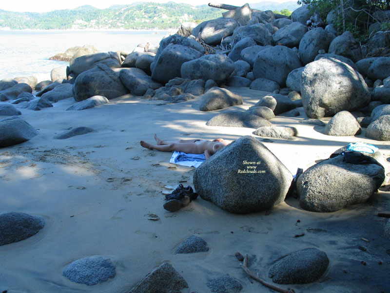 Pic #1Various From The Past