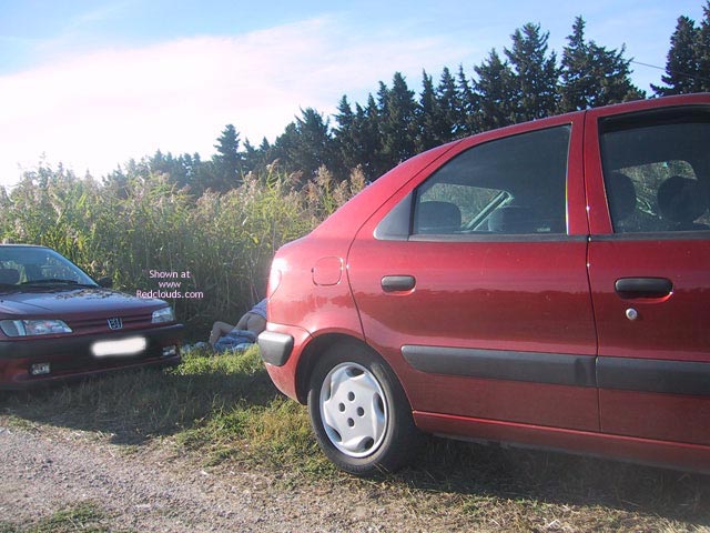 Pic #1Gente Imboscata