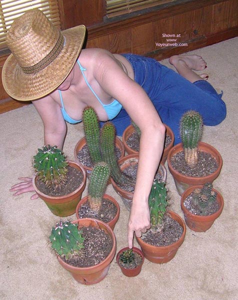 Pic #1Spring Blooms!