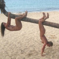 Hanging On Palm Tree , Hanging On Palm Tree, Two Nudes, Nude At Beach, Hanging By A Palm Tree, Naked Girls On A Beach, Monkey See, Girl On Tree