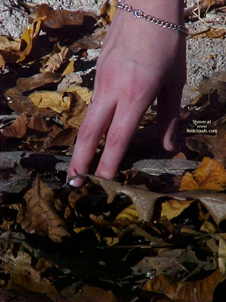 Pic #1If A Girl Strips In The Woods 2