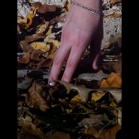 If A Girl Strips In The Woods 2