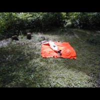 Pic #1Hayley At The Cabin