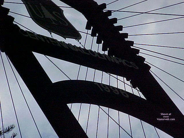 Pic #1Can You Guess?