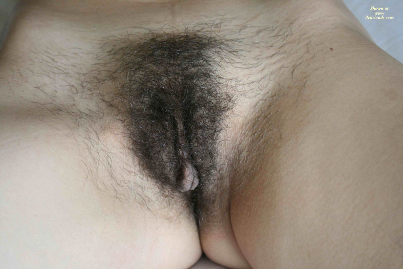 Pic #1Making Tomato Sauce