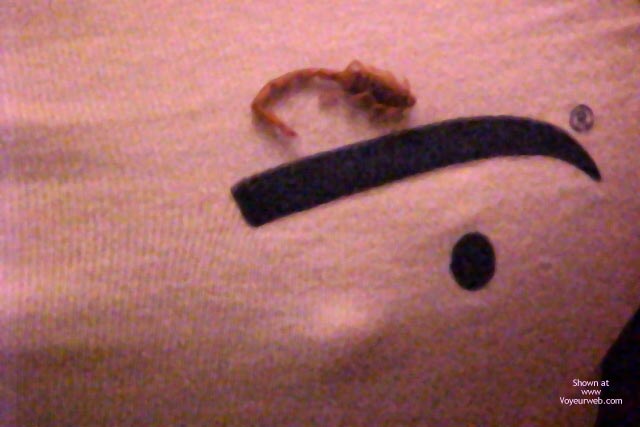 Pic #1Vw Shirt In The Mineral Springs