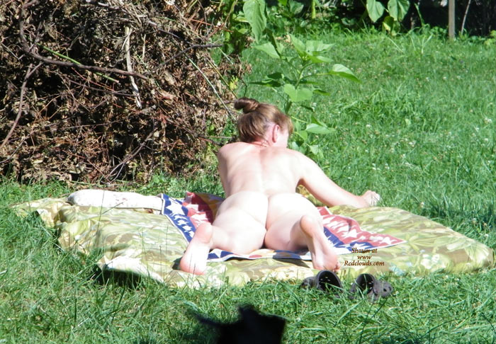 Pic #1Sunny Day In The Garden 2